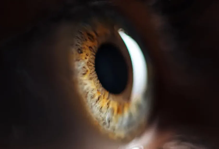oeil dans le noir